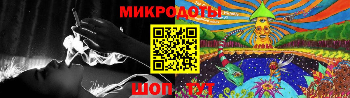 Псилоцибиновые грибы Psilocybine cubensis Новокуйбышевск