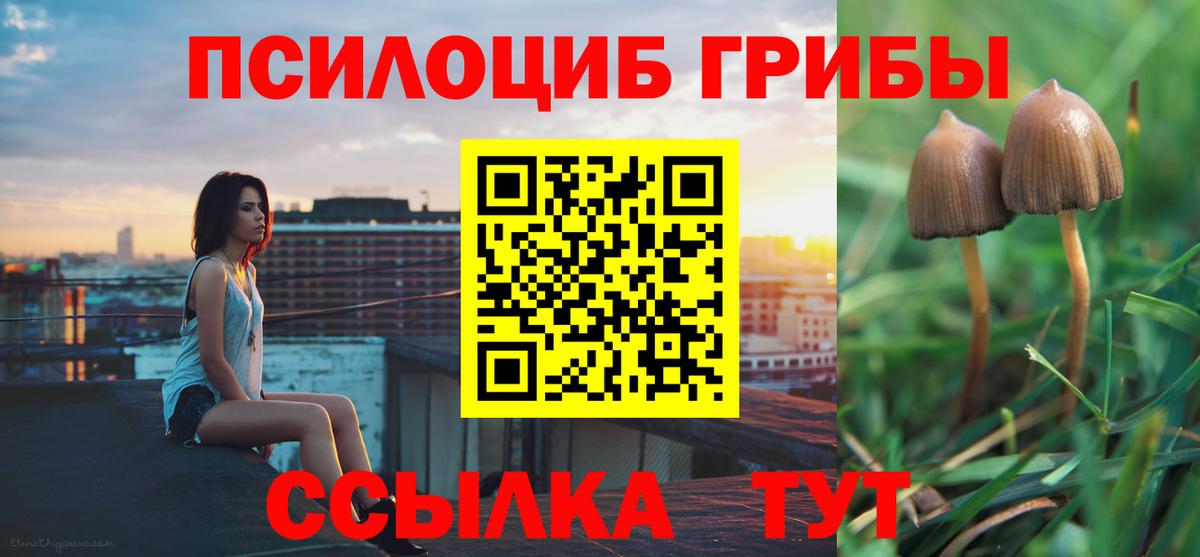 закладка  Вход с VPN  Новокуйбышевск  Галлюциногенные грибы мицелий  Галлюциногенные грибы MAGIC MUSHROOMS 